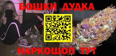 шишки Гудермес