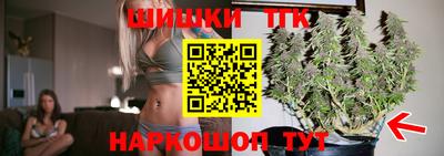 шишки Гудермес
