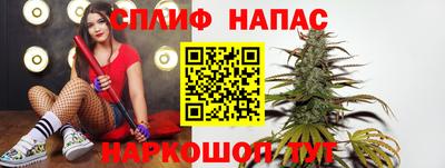 шишки Гудермес
