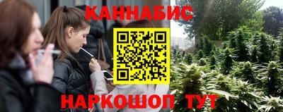 крисы Дмитров