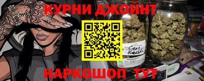 шишки Гудермес