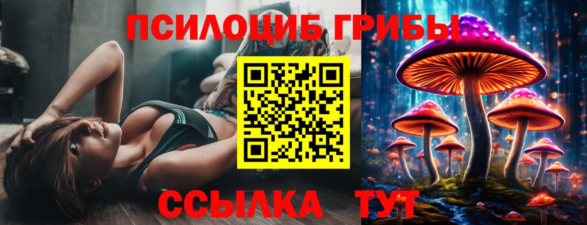 Галлюциногенные грибы Cubensis  Вход с VPN  Псилоцибиновые грибы прущие грибы  Люберцы 