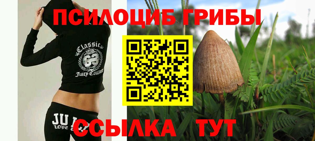 Псилоцибиновые грибы Psilocybine cubensis Люберцы